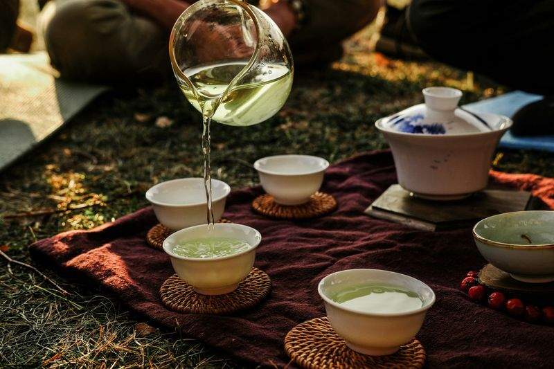 春の香りを楽しむ新茶の選び方